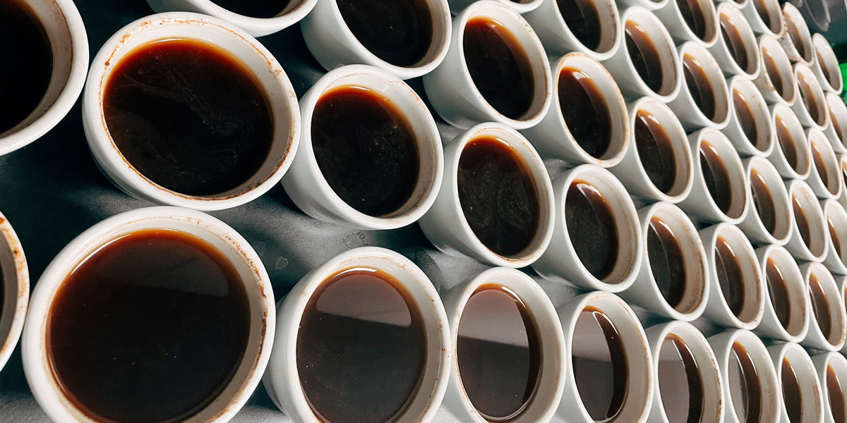 Cupping Bowls