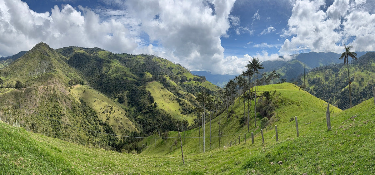 Colombian national park