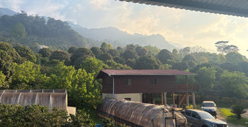 Finca El Diviso