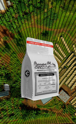 Players Gold | Blend | Rwanda / Costa Rica