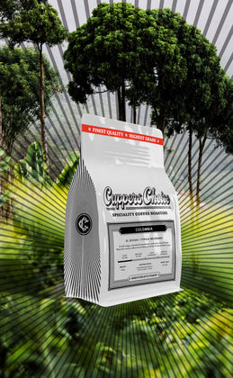 El Diviso | Typica Mejorado | Colombia